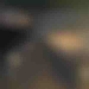 Automobilio salono valymo šepetėlis (2 vnt.) | AUTOBRUSH