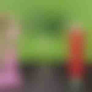 Lėtai išsiskiriančios organinės trąšos tabletėmis | FERTIGROW