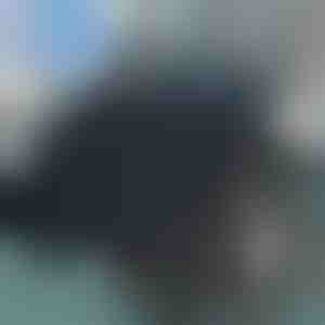 360 laipsnių kampu besisukanti sėdynės pagalvėlė | SPINPAD