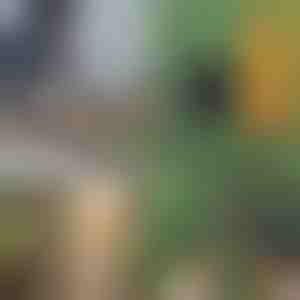 Nešiojamasis pjūklas su rankenomis | TREKSAW