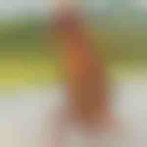 Pripučiamas dinozauro kostiumas | TREXCOS