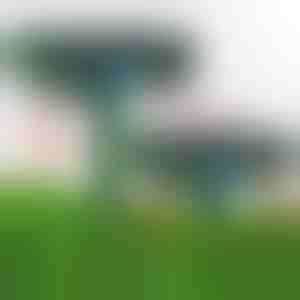 Ultragarsinis kenkėjų atbaidiklis | SONICFIELD