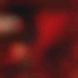 Meilės kalba dovanų | LOVEBEAR