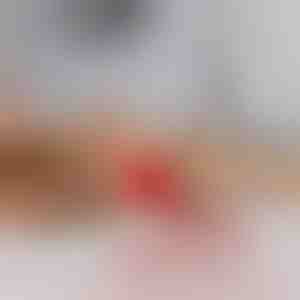 Žaislas naminiams gyvūnėliams, kuris juda nuo prisilietimo | GATOPLAY