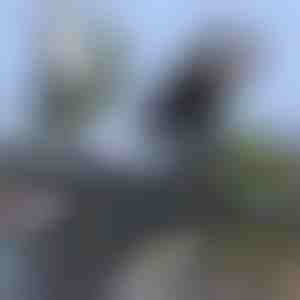 Universalus atsparus vandeniui dviračio telefono laikiklis | BRACKZPHONE