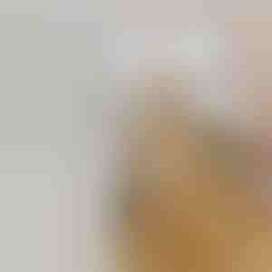 Įkraunamas purškiamas garų šepetys augintiniams iššukuoti | GROOMSY