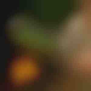 Sukamasis grilio krepšys | ROLOGRILL