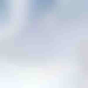 Magnetinis priekinio stiklo sniego uždangalas | FROSTCOVER