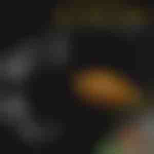 Akvariumo šėrimo padėklo rinkinys | FINTROL