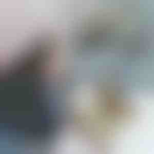 Gyvūnų pirštinės MITTENPET