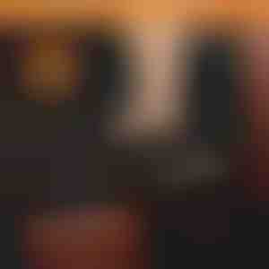 Šuns neperšlampamas automobilio galinės sėdynės užvalkalas | CARIPET