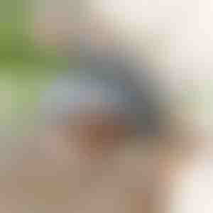 Interaktyvus plazdantis žaislinis paukštis | CHIRRCAT