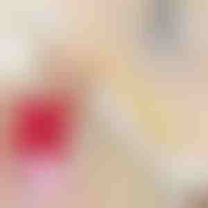 Dėmių valymo servetėlės | STAINIX